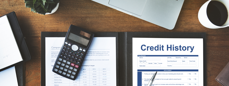 Credit history file on table
