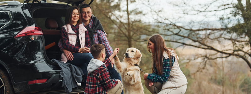 How to qualify for a car loan with low income